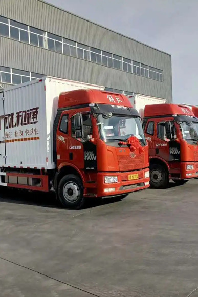 Auto Truck Sales of Logistics