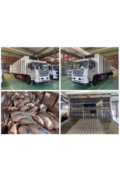 Auto Truck Sales of Poultry and Animal Husbandry